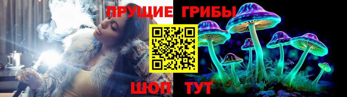 Новозыбков  Псилоцибиновые грибы Psilocybe  купить наркотик  Галлюциногенные грибы мицелий  Вход с VPN 