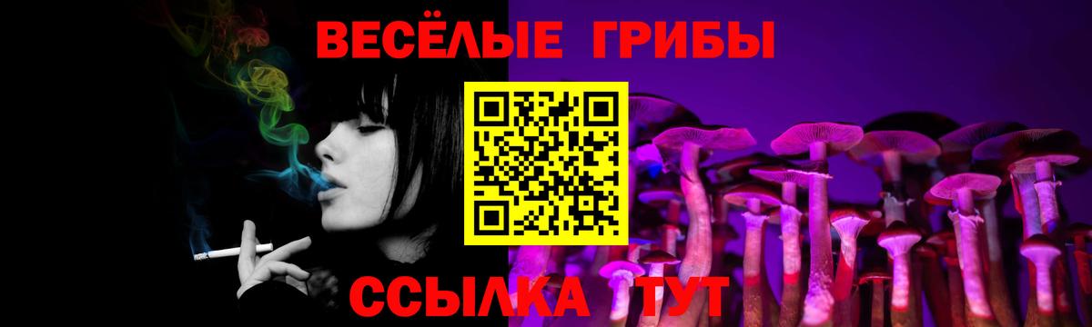 Псилоцибиновые грибы ЛСД Новозыбков