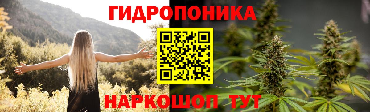 Бошки Шишки SATIVA & INDICA  Вход с VPN  Марихуана THC 21%  Новозыбков 